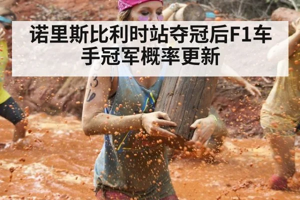 诺里斯比利时站夺冠后F1车手冠军概率更新