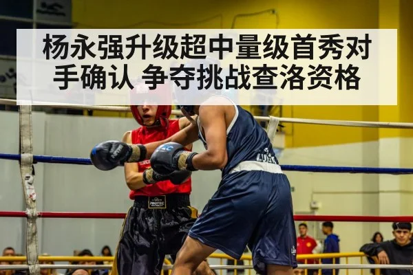 杨永强升级超中量级首秀对手确认 争夺挑战查洛资格